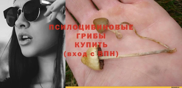 тгк Надым