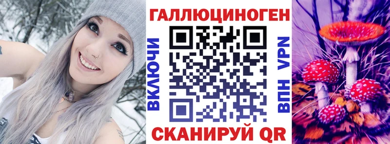 Галлюциногенные грибы мицелий  Купить где  Кемерово 