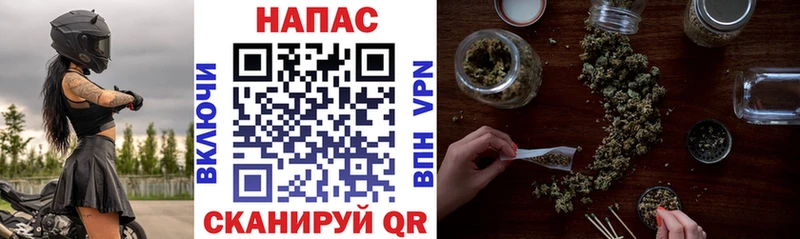 Каннабис OG Kush  Купить закладки  Кемерово 